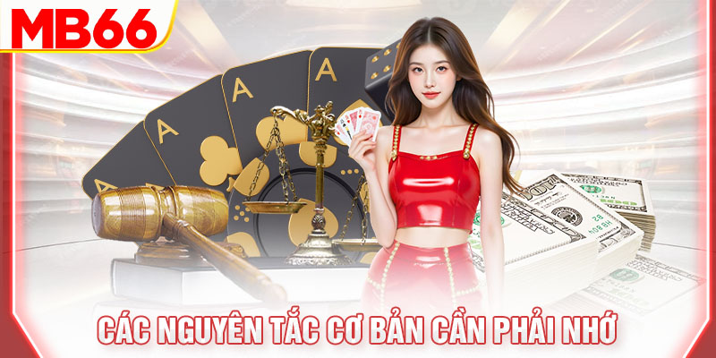 cac-nguyen-tac-co-ban-can-phai-nho