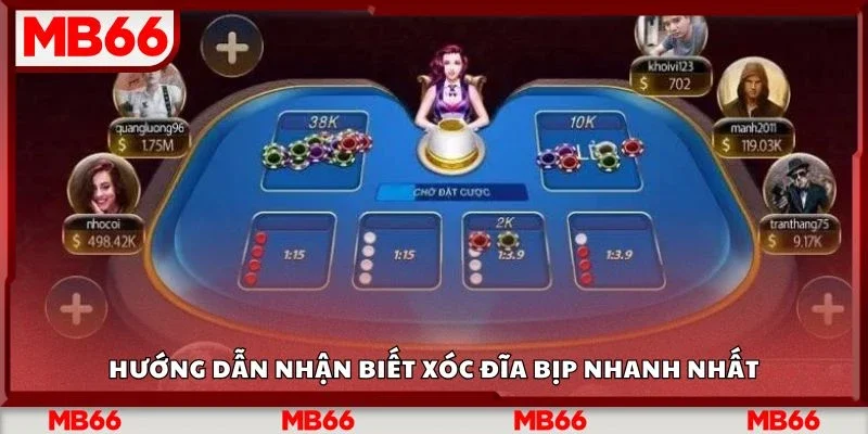 Hướng dẫn nhận biết xóc đĩa bịp nhanh nhất