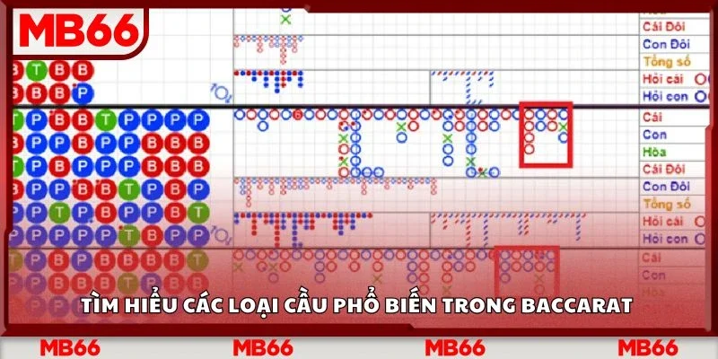 Tìm hiểu các loại cầu phổ biến trong Baccarat 