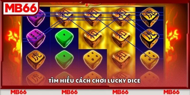 Tìm hiểu cách chơi lucky dice